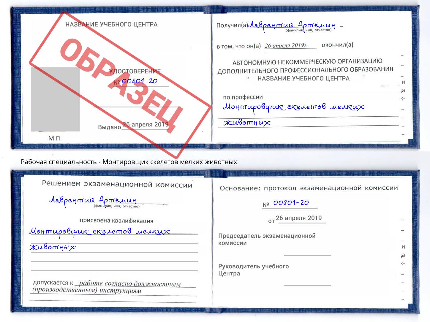 Монтировщик скелетов мелких животных Горно-Алтайск