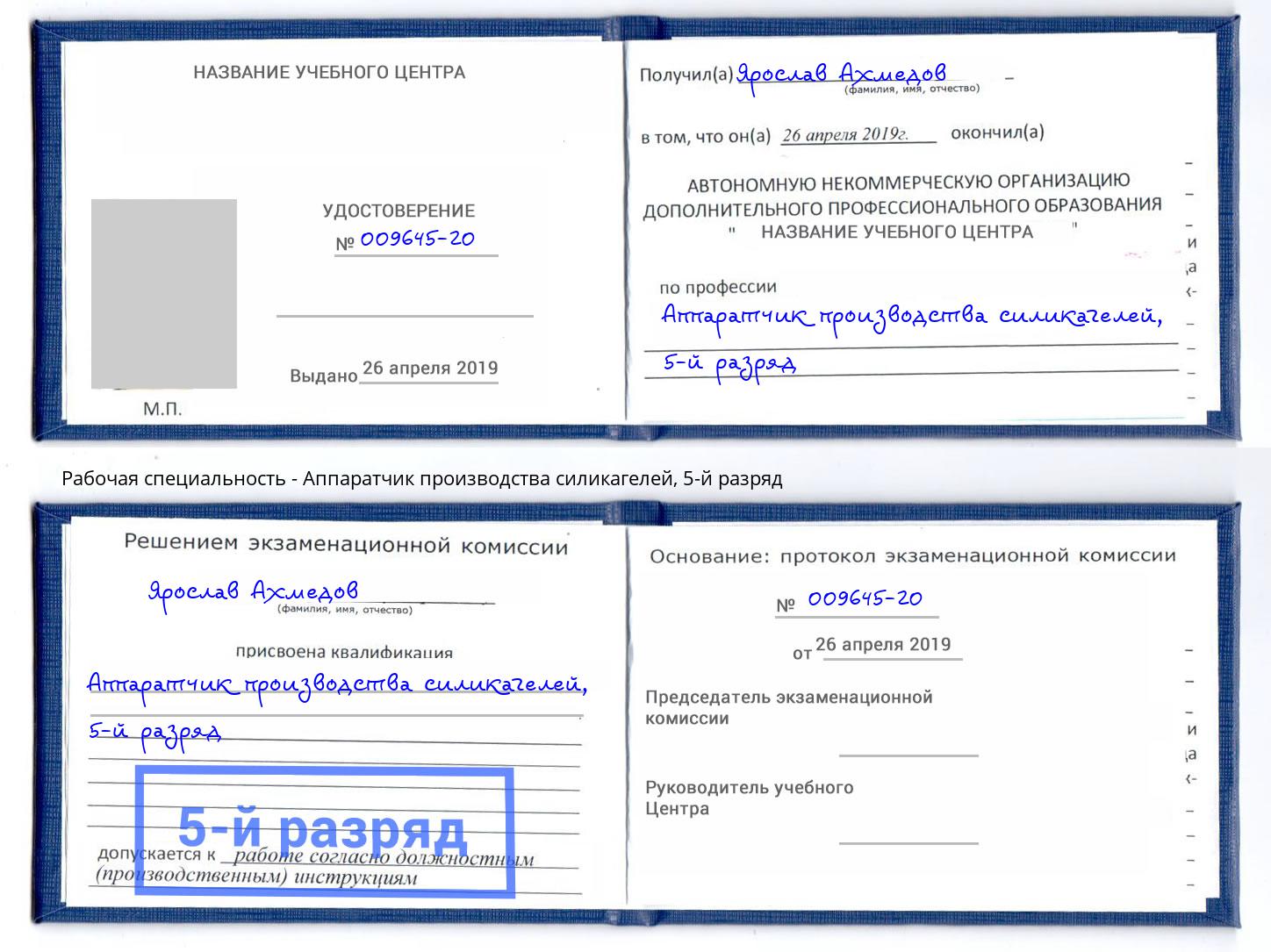 корочка 5-й разряд Аппаратчик производства силикагелей Горно-Алтайск